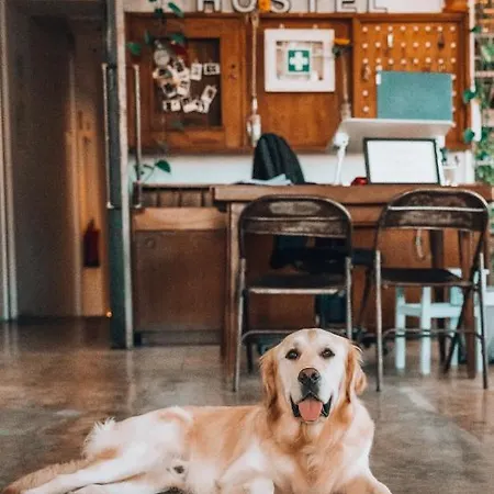 Auberge de jeunesse Lx Lisboa