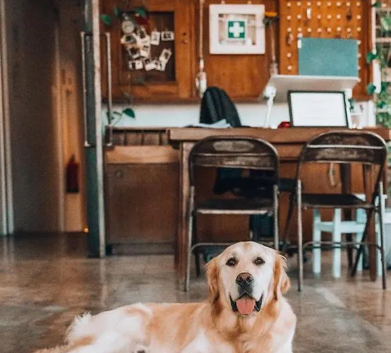 אכסניה Lx ליסבון